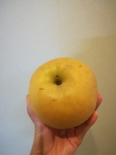 20191009201454218.jpg